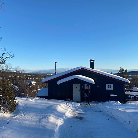 Cabin In The Mountain, Outstanding View & Solar Energy Slidre Экстерьер фото