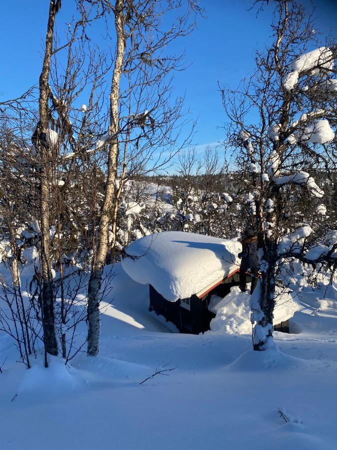 Cabin In The Mountain, Outstanding View & Solar Energy Slidre Экстерьер фото